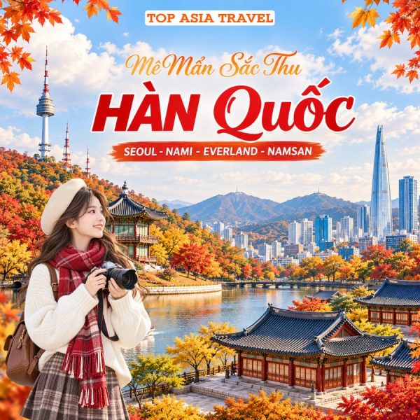 Tour Hàn Quốc Mùa Thu: Seoul - Nami - Everland - Namsan 4N5D