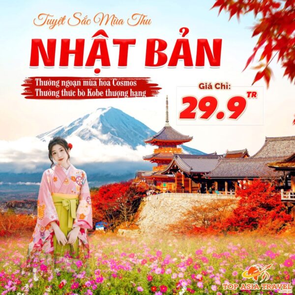 Du Lịch Nhật Bản Ngắm Hoa Cosmos